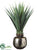 Sisal Plant - Green - Pack of 1