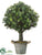 Boxwood Ball Topiary - Green - Pack of 1