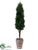 Cedar Topiary Cone - Green - Pack of 1