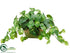 Silk Plants Direct Pothos - Green - Pack of 2