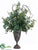 Eucalyptus - Green - Pack of 1