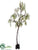 Acacia Branch - Green - Pack of 1