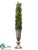 Cedar Cone Topiary - Green - Pack of 1