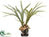 Silk Plants Direct Staghorn Plant - Green - Pack of 1