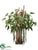 Eucalyptus, Drift Wood - Green - Pack of 1