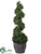Boxwood Topiary - Green - Pack of 1