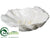 Shell - Pearl - Pack of 1