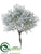 Spanish Moss Bush - Green White - Pack of 12