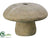 Wood Mushroom - Natural - Pack of 20