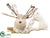 Reindeer - Beige - Pack of 12