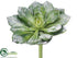 Silk Plants Direct Echeveria Pick - Green Snow - Pack of 8