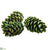 Pine Cone - Green - Pack of 12