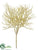 Corokia Twig Pick - Beige - Pack of 12