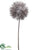 Twig Topiary Stem - Brown Ice - Pack of 6