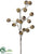 Eucalyptus Pod Spray - Brown Snow - Pack of 24