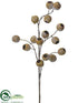 Silk Plants Direct Eucalyptus Pod Spray - Brown Snow - Pack of 24