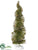 Swirl Tree - Green Gold - Pack of 12