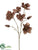 Magnolia Spray - Chocolate - Pack of 12