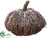 Twig Pumpkin - Brown Ice - Pack of 4