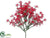 Bud Berry Cluster - Red - Pack of 24