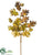 Oak Leaf Spray - Gold - Pack of 12