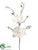 Magnolia Spray - White Snow - Pack of 6