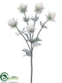 Silk Plants Direct Thistle Spray - White - Pack of 12
