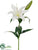 Iced Lily Spray - White - Pack of 12