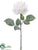 Snowed Rose Spray - White - Pack of 24