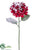 Snowed Hydrangea Spray - Snow Red - Pack of 12