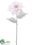 Poinsettia Spray - Pink Snow - Pack of 12