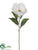 Magnolia Spray - White - Pack of 12