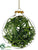 Tube Confetti Glass Ball Ornament - Green - Pack of 12