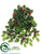 Holly Hanging Bush - Green Variegated - Pack of 6