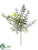 Eucalyptus, Fern Pick - Green Snow - Pack of 24