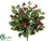 English Holly Bush - Green - Pack of 12