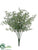 Eucalyptus Seed Bush - Green Gray - Pack of 12