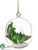 Hanging Glittered Succulent Garden - Green Glittered - Pack of 6