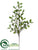 Mistletoe Spray - Cream Green - Pack of 6