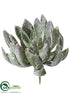 Silk Plants Direct Echeveria Pick - Green Glittered - Pack of 12