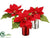 Poinsettia - Red - Pack of 4