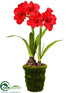 Silk Plants Direct Amaryllis - Red - Pack of 2