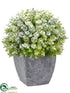 Silk Plants Direct Snowed Selaginella - Green Snow - Pack of 6