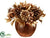 Pine Cone, Berry - Gold Brown - Pack of 6