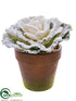 Silk Plants Direct Cabbage - Green Snow - Pack of 24