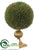 Cedar Ball Topiary - Green Gold - Pack of 2