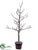 Twig Tree - Snow Brown - Pack of 2