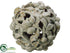 Silk Plants Direct Ball Ornament - Cream Rust - Pack of 6