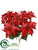 Poinsettia Bush - Red - Pack of 12