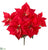 Majestic Velvet Poinsettia Bush - Red Burgundy - Pack of 12
